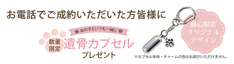 特典プレゼント（SP）